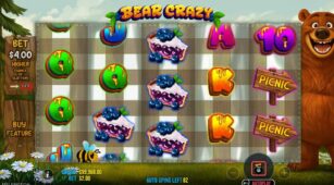Bear Crazy demo play free 2