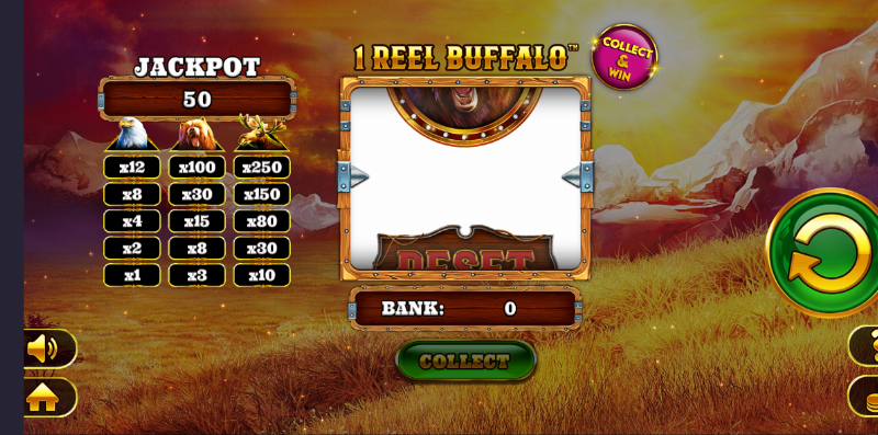 1 Reel Buffalo