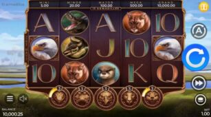 15 Armadillos demo play free 1