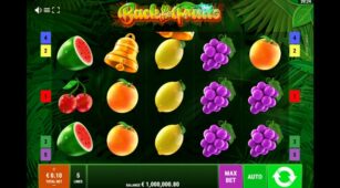 Back To The Fruits demo play free 3