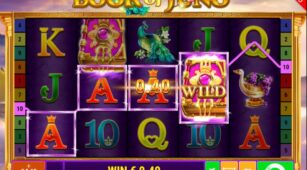 Book Of Juno demo play free 0