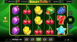 Bulky Fruits demo play free 3