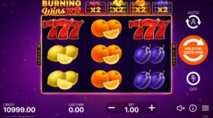 Burning Wins X2 demo play free 1