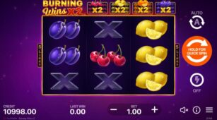 Burning Wins X2 demo play free 2