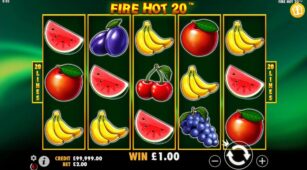Fire Hot 20 demo play free 0