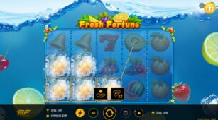 Fresh Fortune demo play free 1