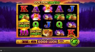 Golden Grizzly demo play free 0