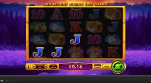 Golden Grizzly demo play free 3