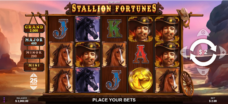 Stallion Fortunes