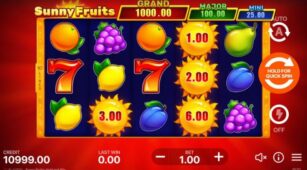 Sunny Fruits demo play free 0