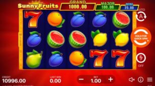 Sunny Fruits demo play free 3