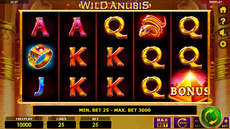 Wild Anubis