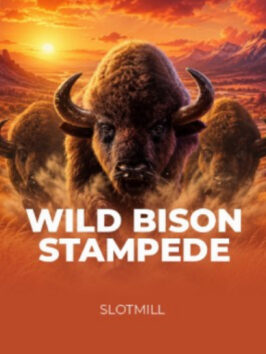 Wild Bison Stampede