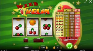 Wild Melon demo play free 0