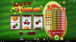 Wild Melon demo play free 1