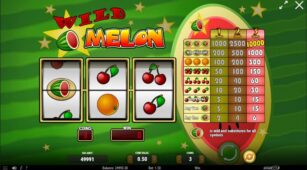 Wild Melon demo play free 2