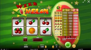 Wild Melon demo play free 3