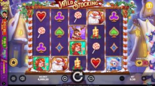 Wild Stocking demo play free 0