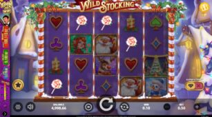 Wild Stocking demo play free 3