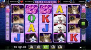 100 Cats demo play free 3