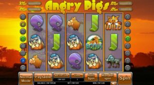 Angry Pigs demo play free 3