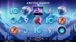 Arctic Magic demo play free 1