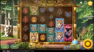 Big Cat Rescue Megaways demo play free 0