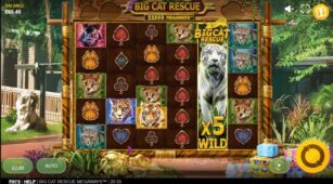 Big Cat Rescue Megaways demo play free 2