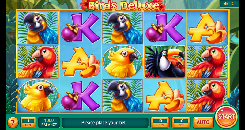 Birds Deluxe