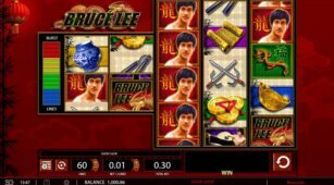 Bruce Lee demo play free 0