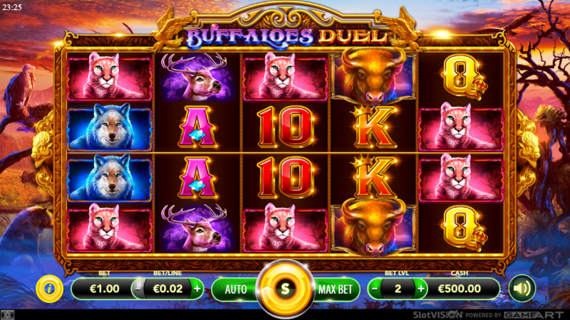 Buffaloes Duel