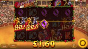 Bulls Run Wild demo play free 2