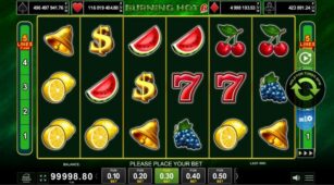 Burning Hot 6 Reels demo play free 2