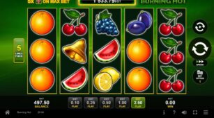 Burning Hot demo play free 0