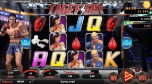 Cage Fight demo play free 1