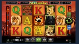 Cats Royal demo play free 3
