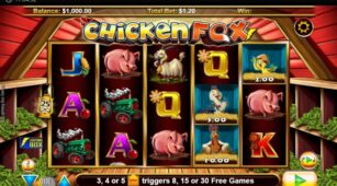 Chicken Fox demo play free 1