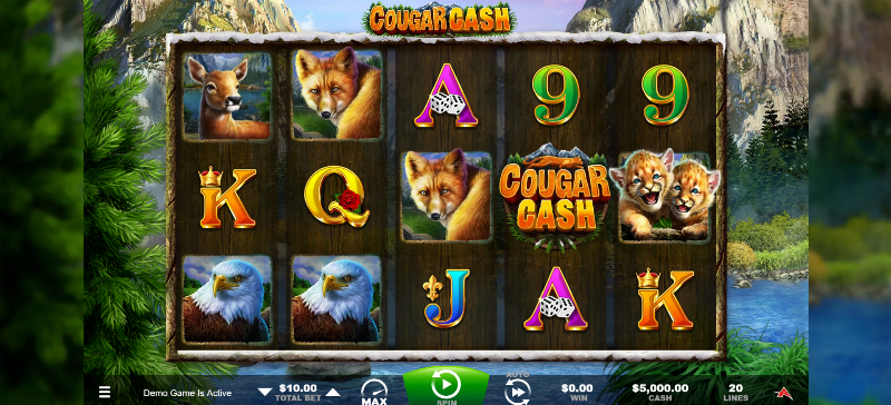 Cougar Cash