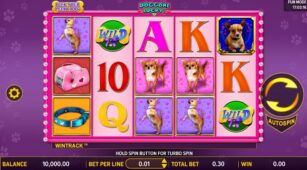 Doggone Lucky demo play free 0
