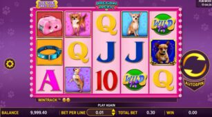 Doggone Lucky demo play free 2