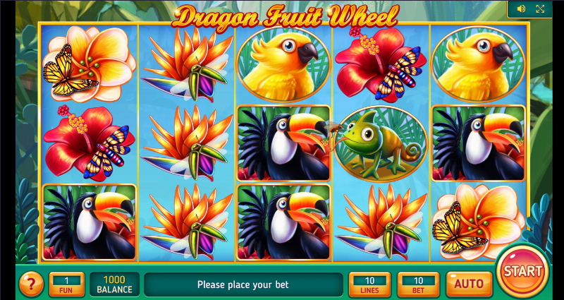 Dragon Fruit Wheel