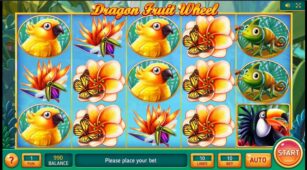 Dragon Fruit Wheel demo play free 0