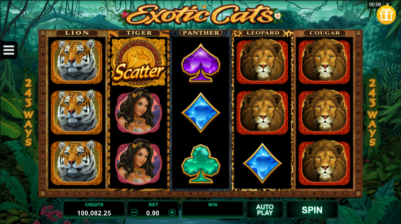 Exotic Cats