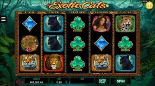 Exotic Cats demo play free 2