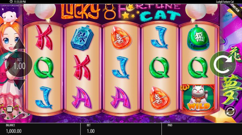 Lucky 8 Fortune Cat