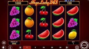 Mega Lucky 243 demo play free 1