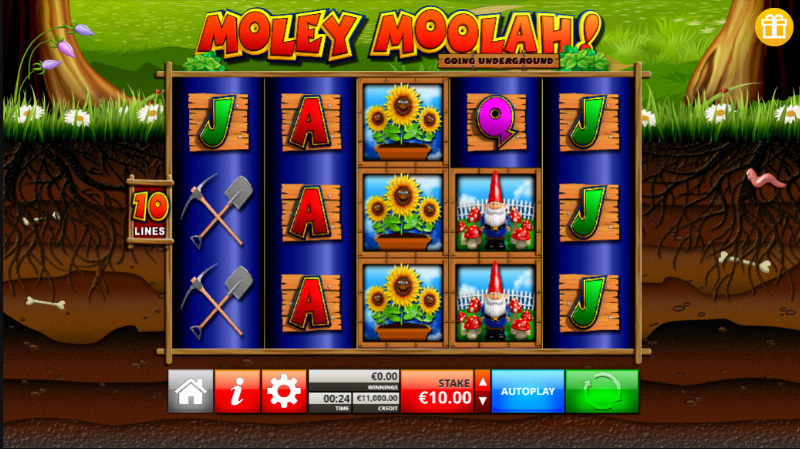 Moley Moolah