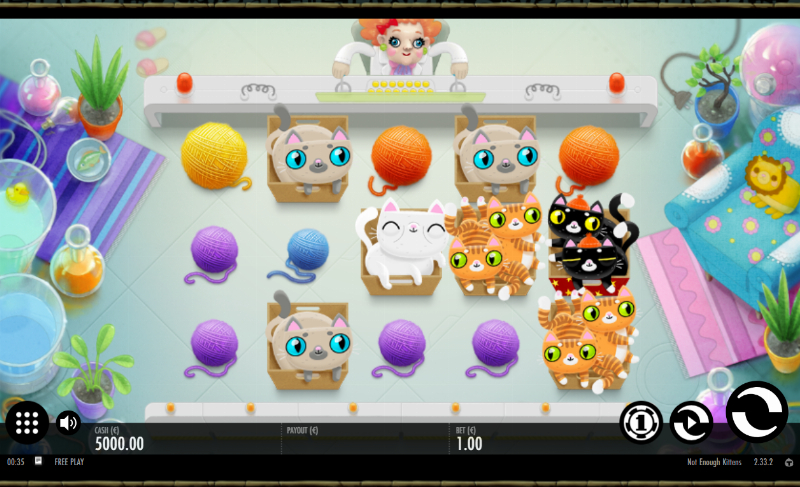 Not Enough Kittens