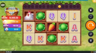Oink Farm demo play free 1