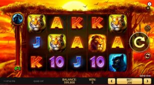 Quad Cat demo play free 0